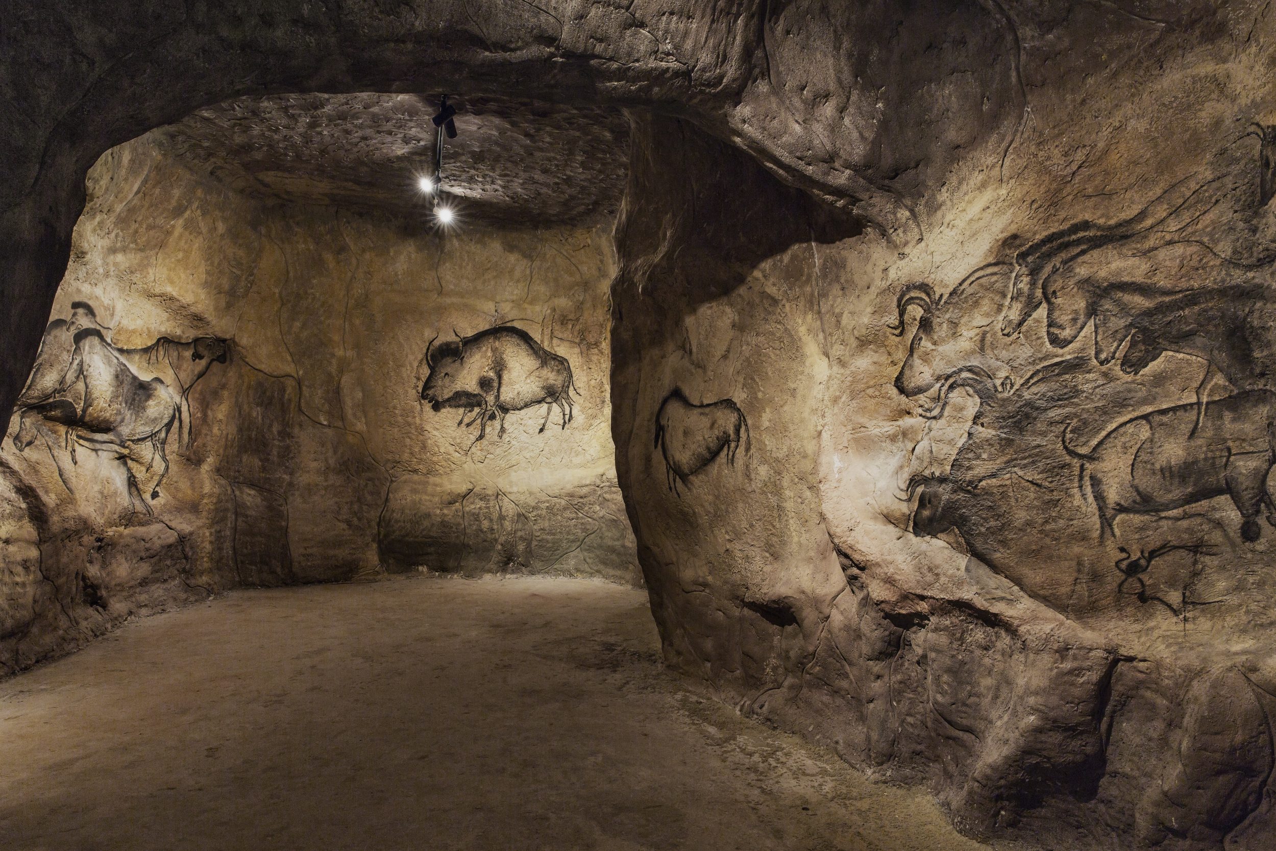 Höhle Chauvet