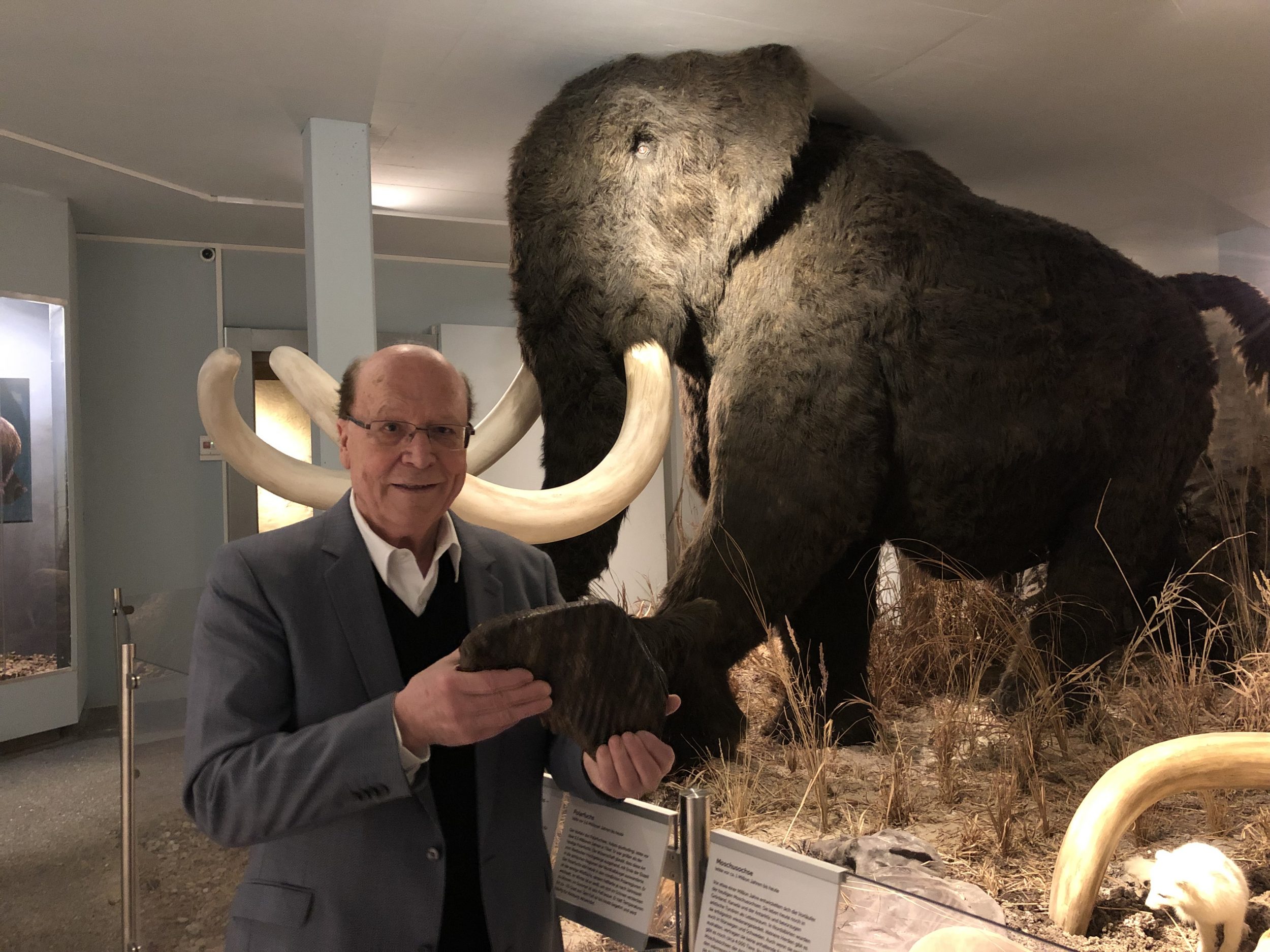 Dr. Artmann mit Mammutbackenzahn