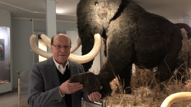 Dr. Artmann mit Mammutbackenzahn