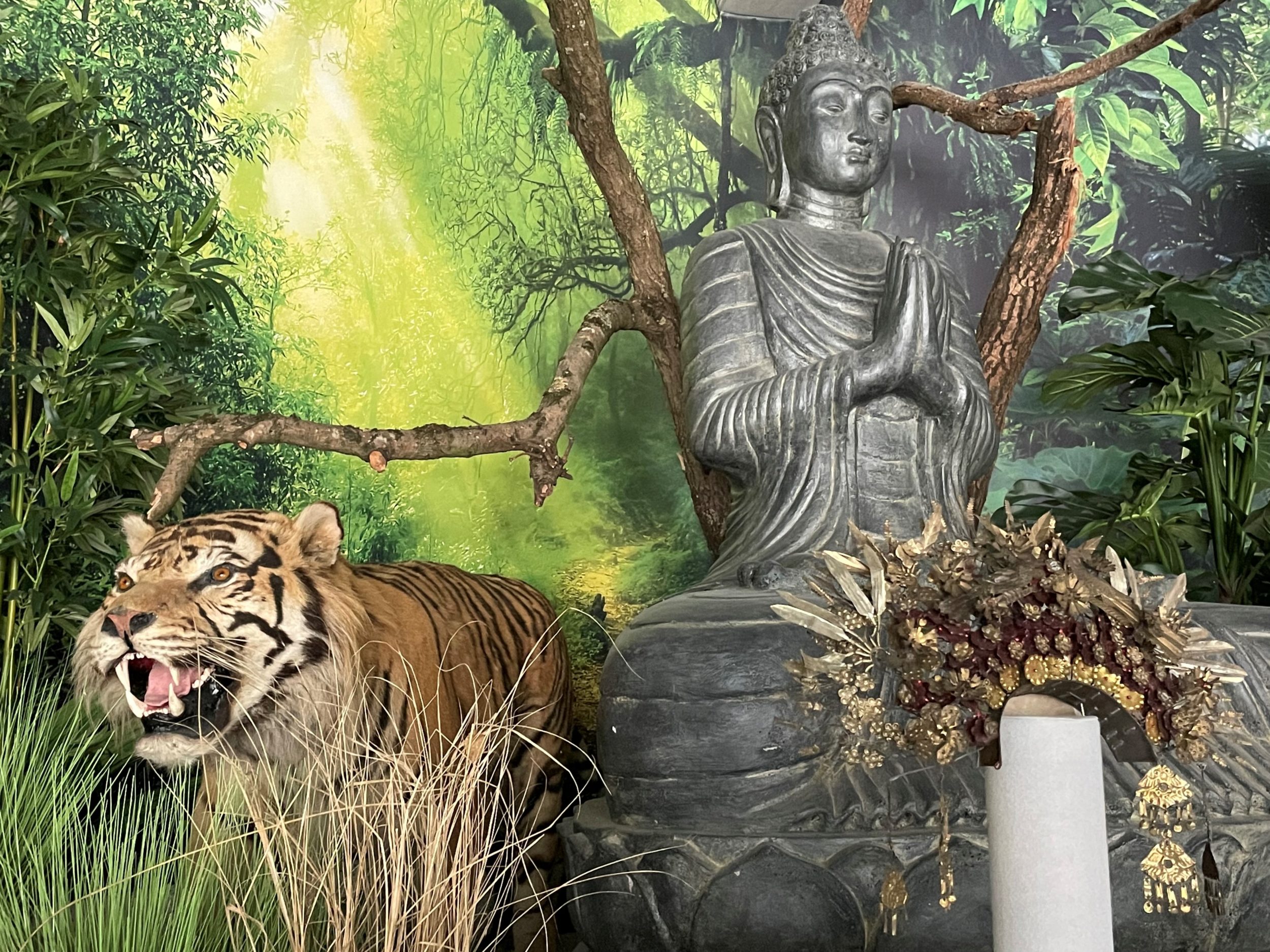 Sumatra-Tiger - Buddhismus