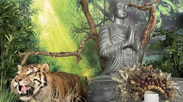 Sumatra-Tiger - Buddhismus