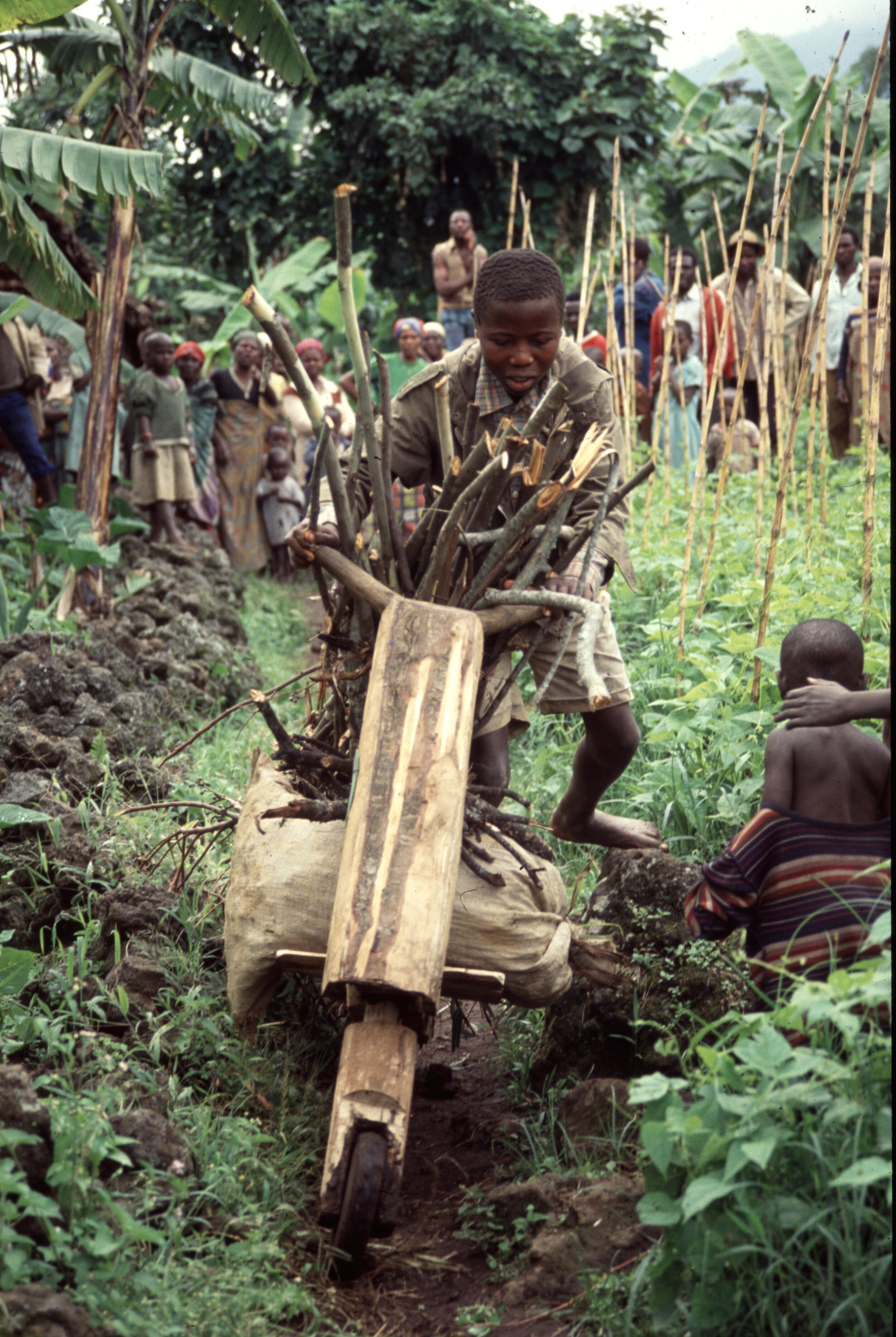 Roller aus der DR Kongo als Transportfahrzeug